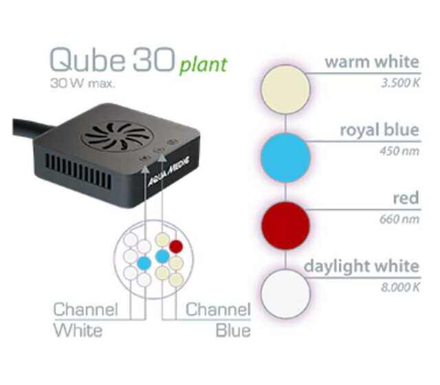 Aqua Medic Qube 30 Plant LED Verteilung