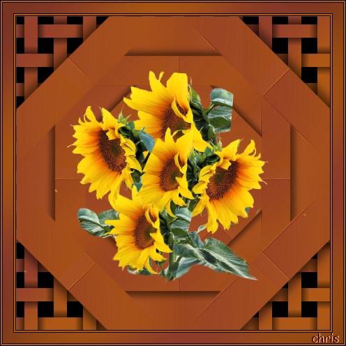 Sonnenblumen1808.jpg
