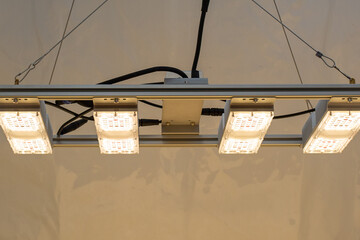 Monster LED M4 LED-Grow-Lampe (V 3.5, dimmbar)