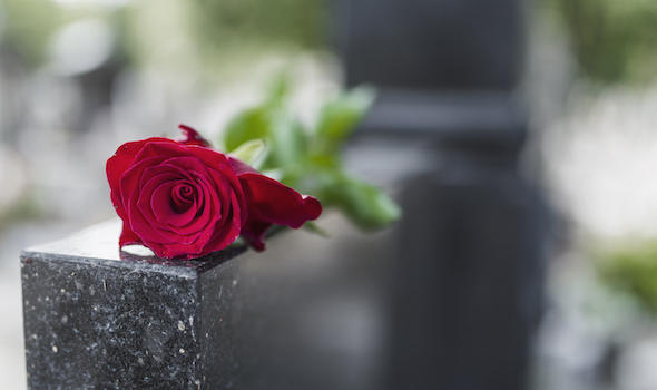 religious-tradition-to-put-one-flower-in-memory-of-the-deceased-on-the-granite-slab-of-the.jpeg